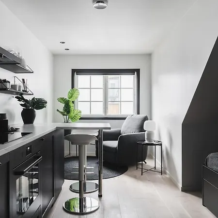 Apartment Modern Studio Perfect For Business Travelers. Bg7